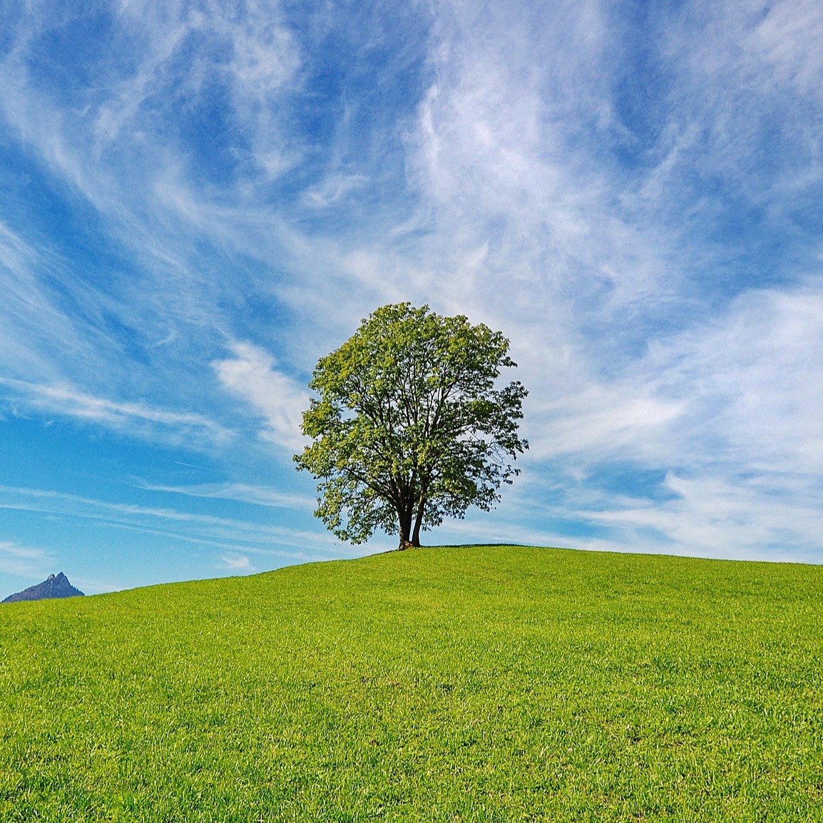 Photo de Serge TARIS