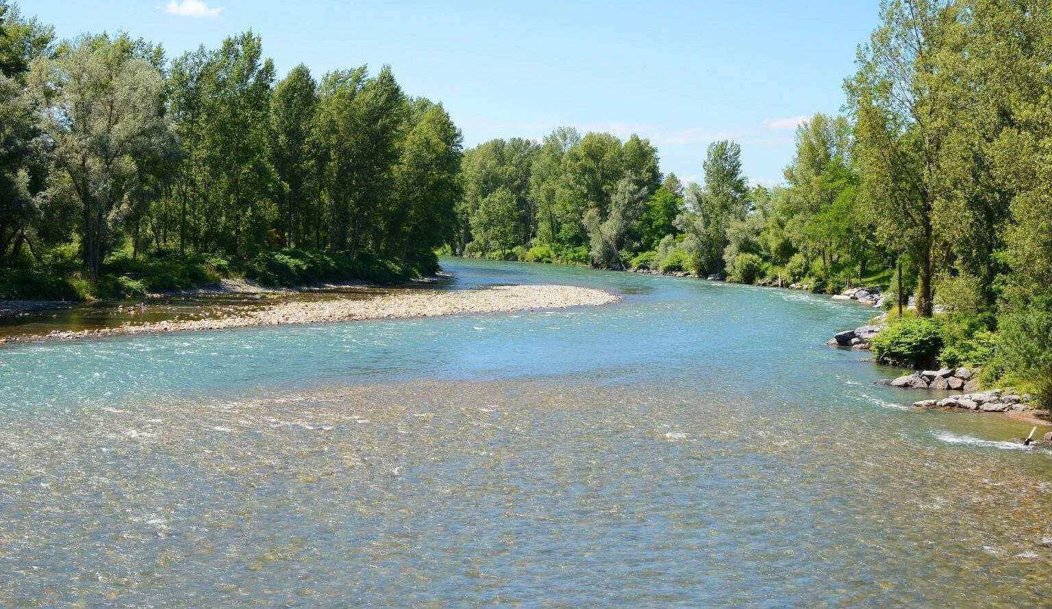 Rivière paisible aux eaux claires serpentant au cœur d'une forêt verdoyante.
