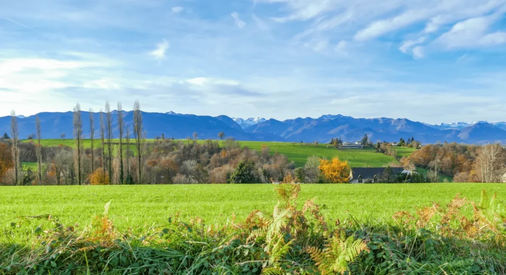 Superbe vue panoramique sur une vaste plaine verdoyante et des montagnes à l'horizon.